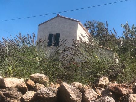 maison indépendante avec jardin attenant et terrains