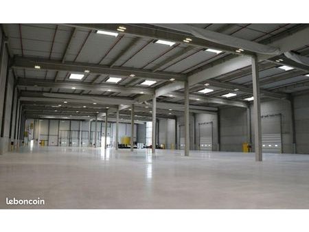 local logistique 18 000 m²