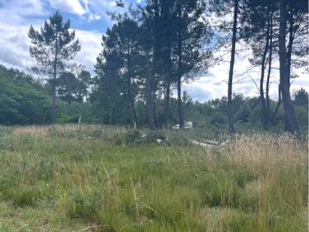 terrain non constructible 3000m2