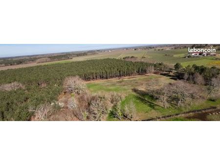 terrain 500 m² cissac medoc