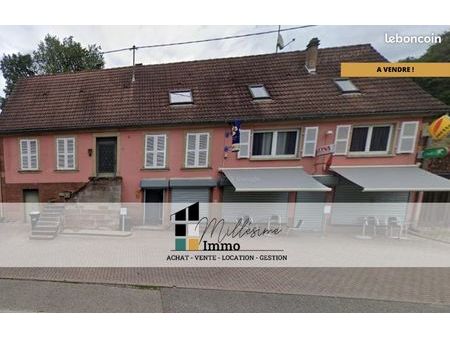 immeuble 313 m² wingen sur moder