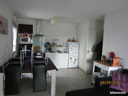 appartement 53 m2