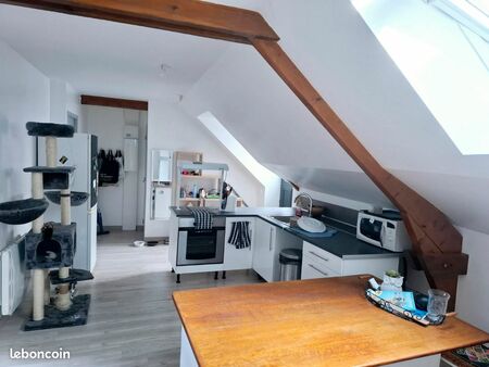 appartement t3 45m2