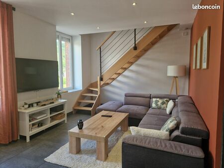 appartement duplex firminy