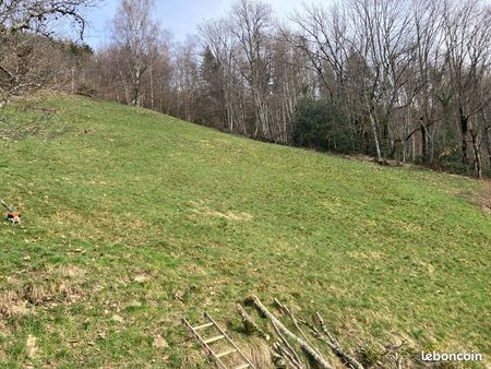 terrain agricole pour pose de ruche