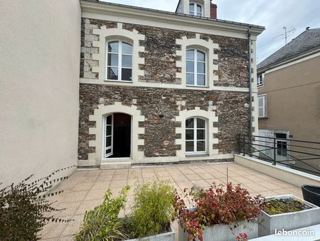 angers château/visitation/gare maison/appartement avec grande terrasse vue sur le château 