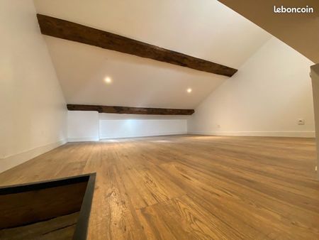 superbe appartement en duplex au cœur de macon