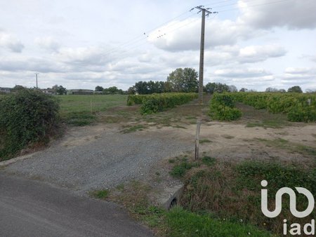 vente terrain de 10 000 m² à saint