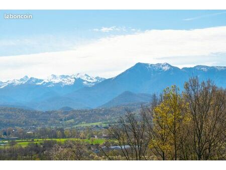 belle commingeoise face aux pyrénées