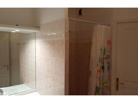 location appartement 1 pièce 33 m² bron (69500)