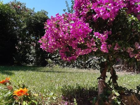 3p meublé avec jardin et parking cannes