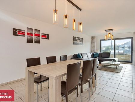 appartement à vendre à peer € 269.000 (kl8jc) - sophie eerdekens | zimmo