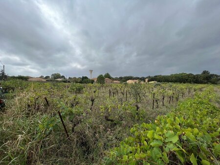 terrain à bâtir à canet (34800)