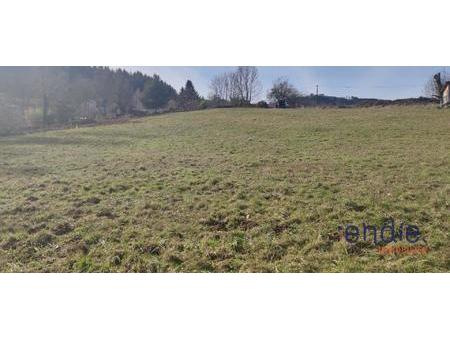 terrain constructible de 2909 m² sur un ensemble de 5734 m²