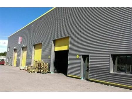 location commerce 1700 m² perpignan (66000)