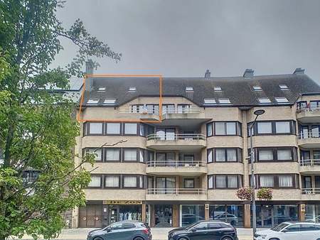 appartement à louer à ninove € 975 (kvwpw) - topo immo denderhoutem | zimmo