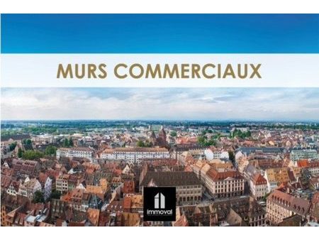 murs commerciaux loués à schiltigheim