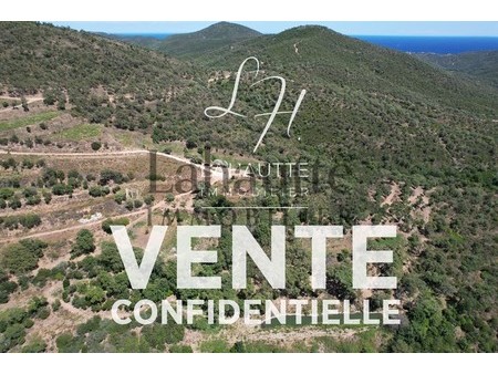 propriété viticole à vendre à saint-tropez