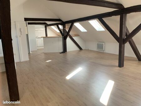 appartement 50 m² - quartier gare - f1 loft