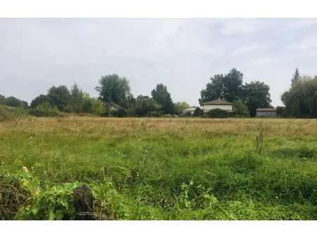 vente terrain à construire 1000 m² gauriaguet (33240)