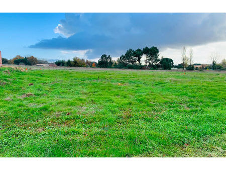 vente terrain à construire 1030 m² pugnac (33710)