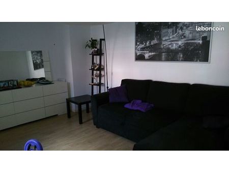 appartement 63m2 / entre hôpitaux sud et euratech