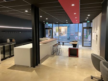 vente locaux professionnels 271 m²