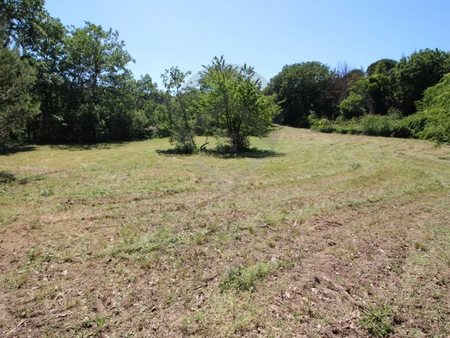 vente terrain 7961 m²