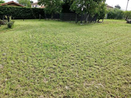 terrain constructible 830 m² grièges