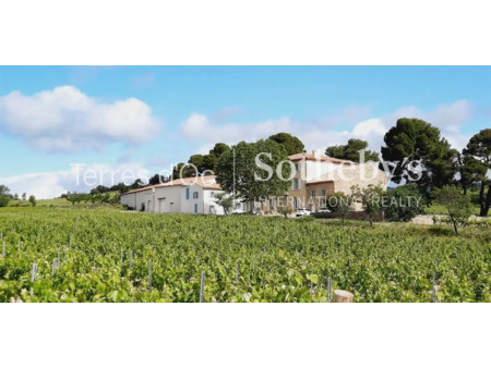 vignoble avec piscine la livinière (34)