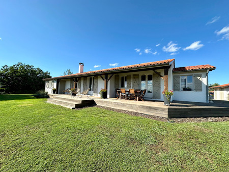 charmante villa avec piscine  parc paysager et vue sur les pyrénées