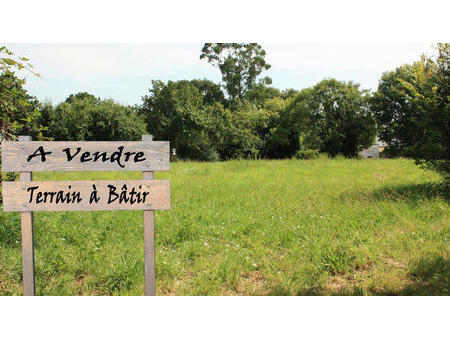 vente terrain à challans (85300) : à vendre / 950m² challans