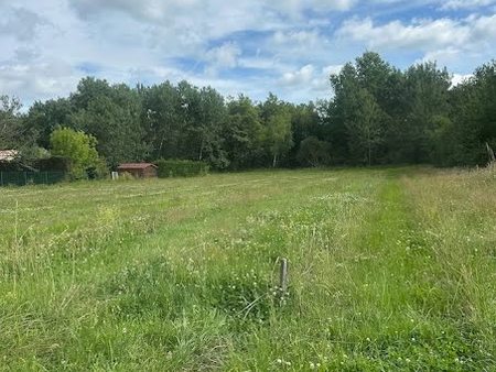 vente terrain 1000 m²