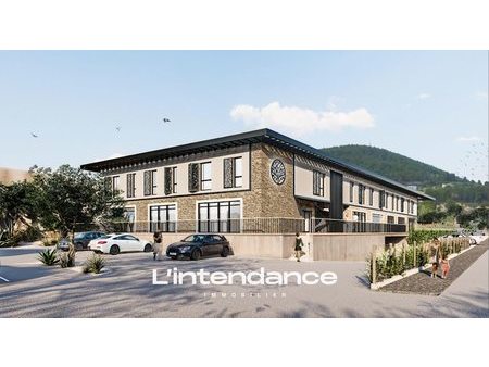 vente locaux professionnels 700 m²