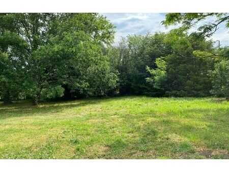 vente terrain 698 m² campugnan (33390)