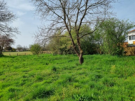 2 terrains viabilisés à birac