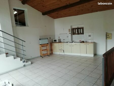 location appartement avec terrasse plein sud