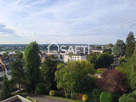 appartement face a la loire