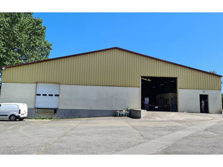 vente local industriel 520 m² gragnague (31380)